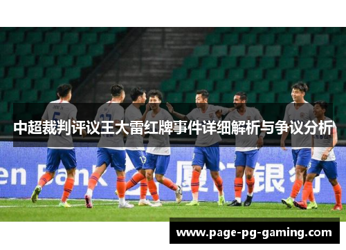 中超裁判评议王大雷红牌事件详细解析与争议分析