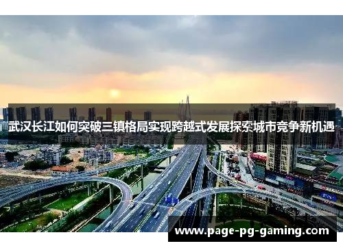 武汉长江如何突破三镇格局实现跨越式发展探索城市竞争新机遇