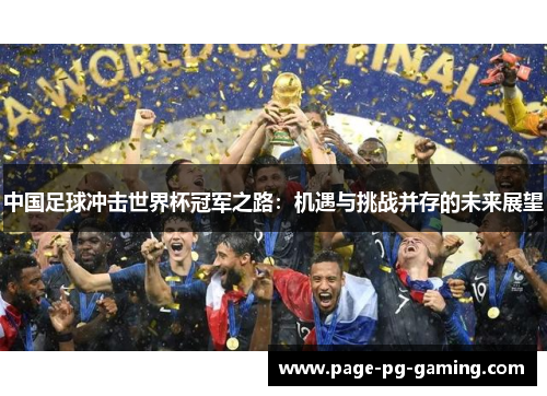 中国足球冲击世界杯冠军之路：机遇与挑战并存的未来展望