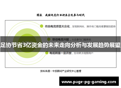 足协节省3亿资金的未来走向分析与发展趋势展望