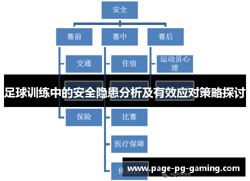 足球训练中的安全隐患分析及有效应对策略探讨