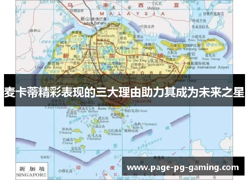 麦卡蒂精彩表现的三大理由助力其成为未来之星