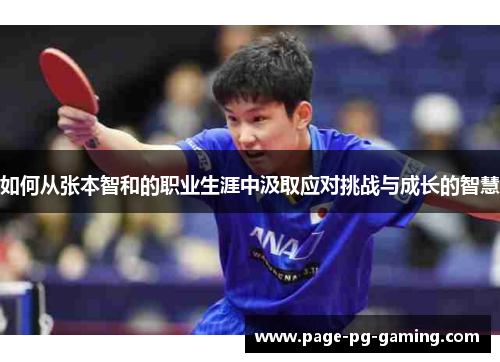 如何从张本智和的职业生涯中汲取应对挑战与成长的智慧