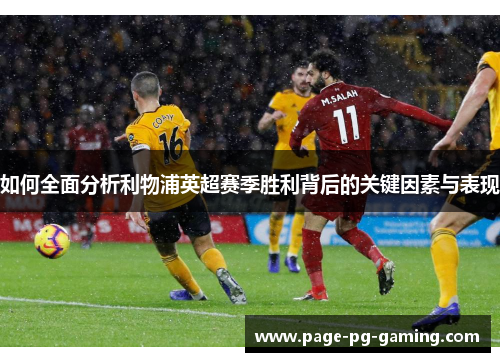 如何全面分析利物浦英超赛季胜利背后的关键因素与表现