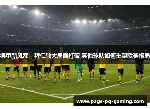 德甲新风潮：拜仁独大局面打破 其他球队如何重塑联赛格局