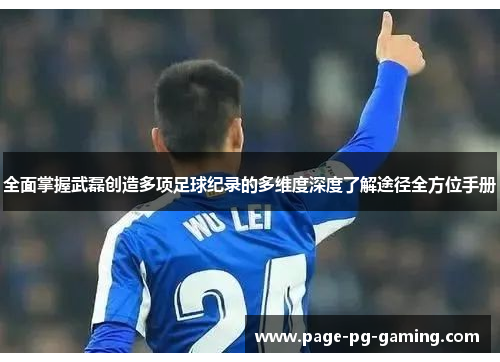 全面掌握武磊创造多项足球纪录的多维度深度了解途径全方位手册