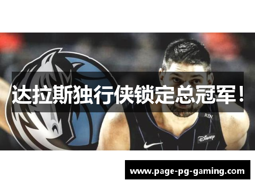 达拉斯独行侠锁定总冠军！